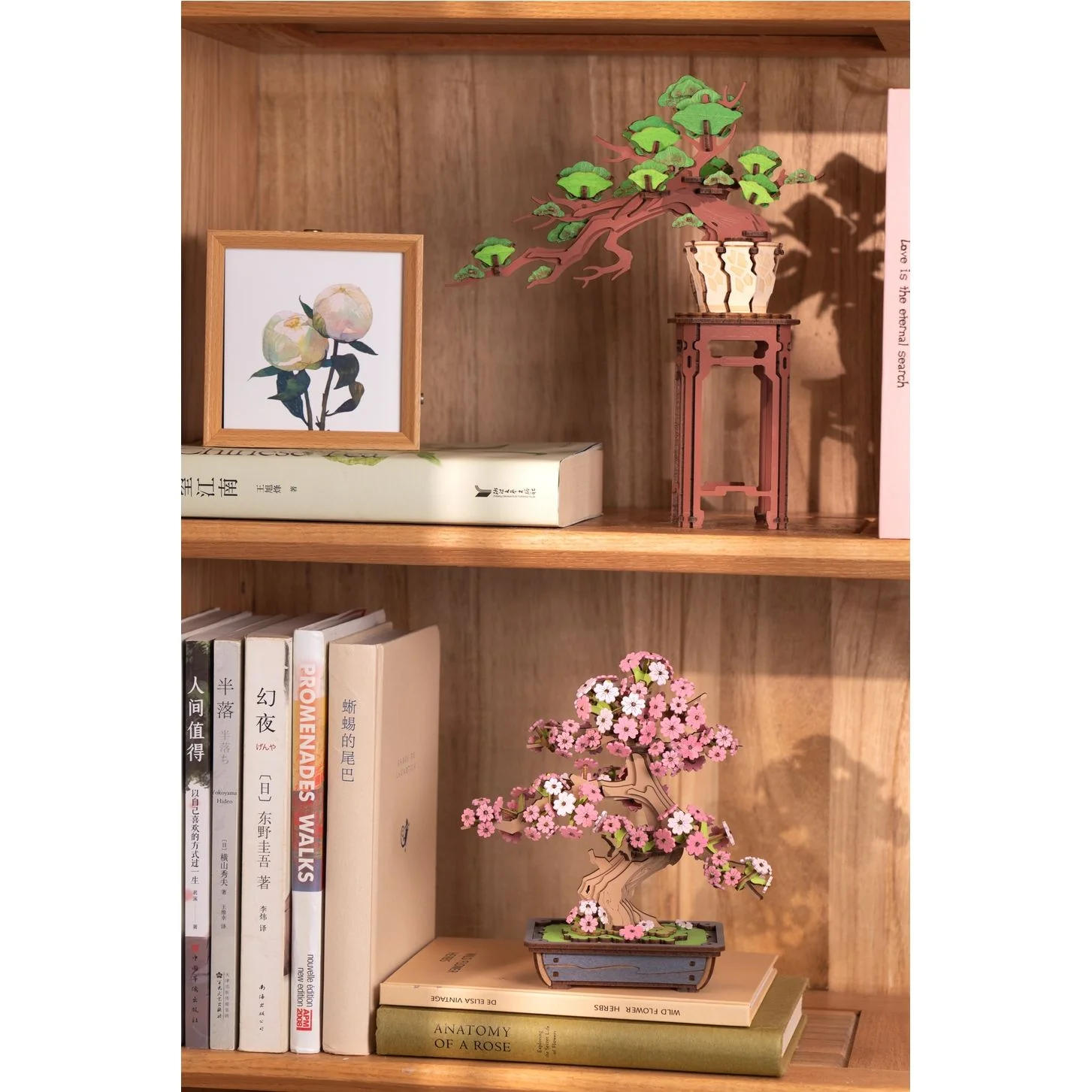 3D WOODEN PUZZLE EVERGREEN PINE BONSAI - Image 3