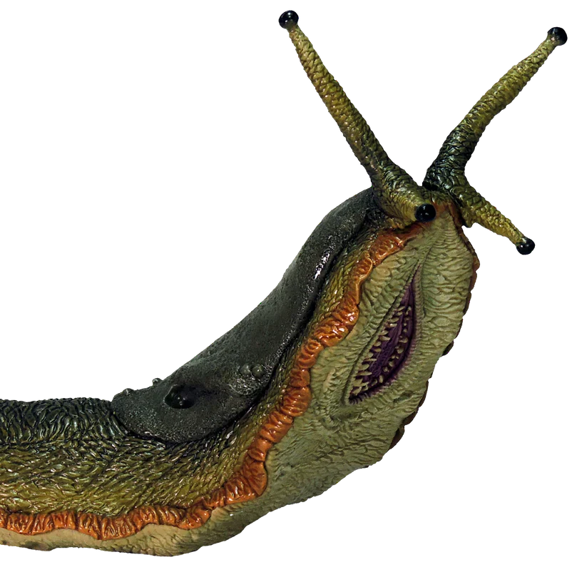 7 TV COLOSSAL SLUG - Image 2