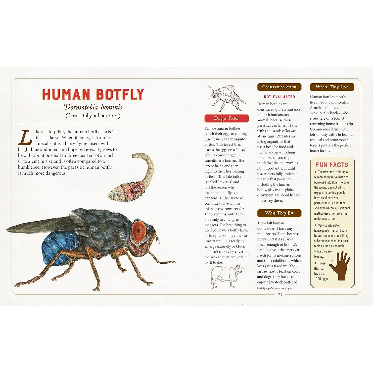 A CURIOUS COLLECTION OF DANGEROUS CREATURES: AN ILLUSTRATED ENCYCLOPEDIA BY SAMI BAYLY - Image 3