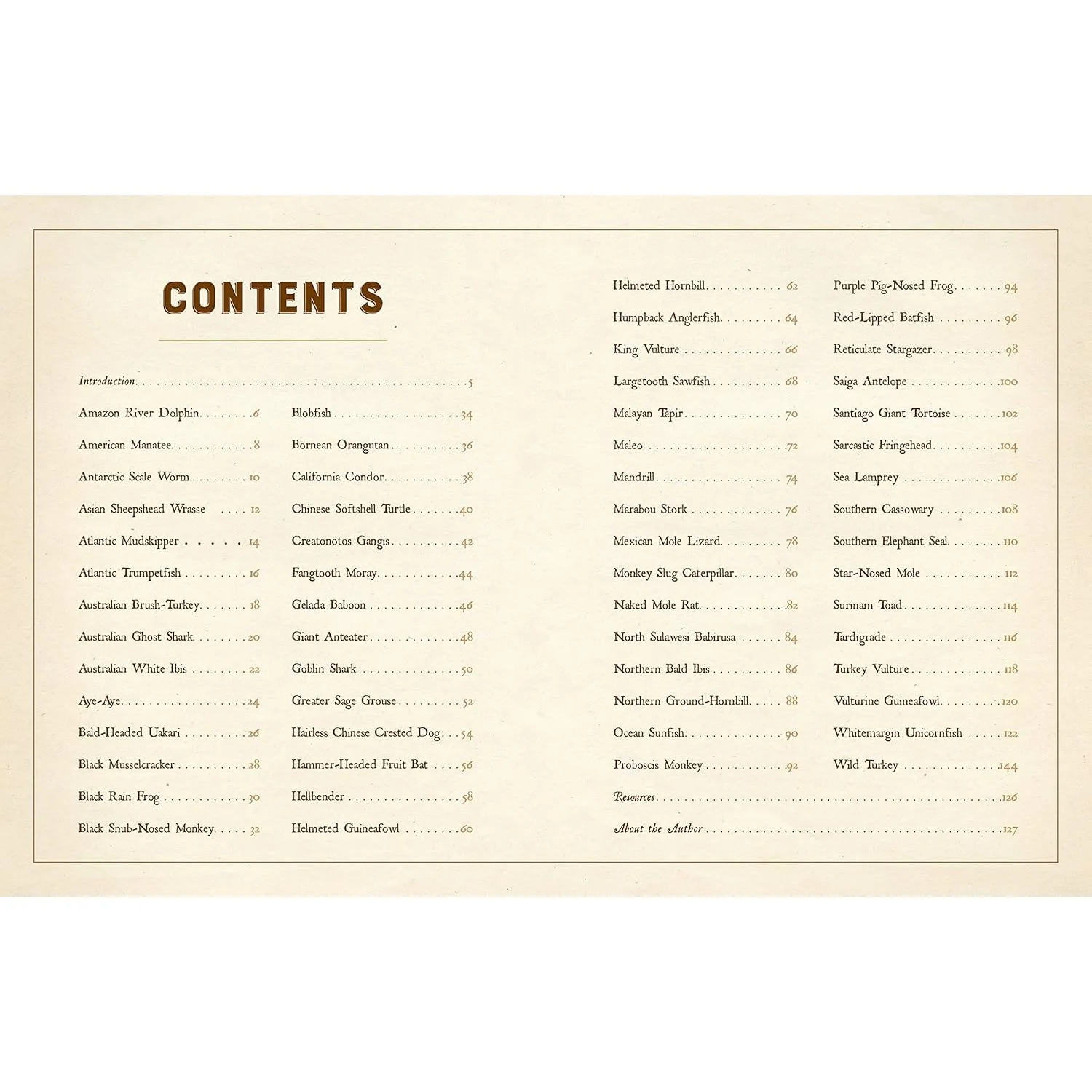 A CURIOUS COLLECTION OF PECULIAR CREATURES: AN ILLUSTRATED ENCYCLOPEDIA BY SAMI BAYLY - Image 2