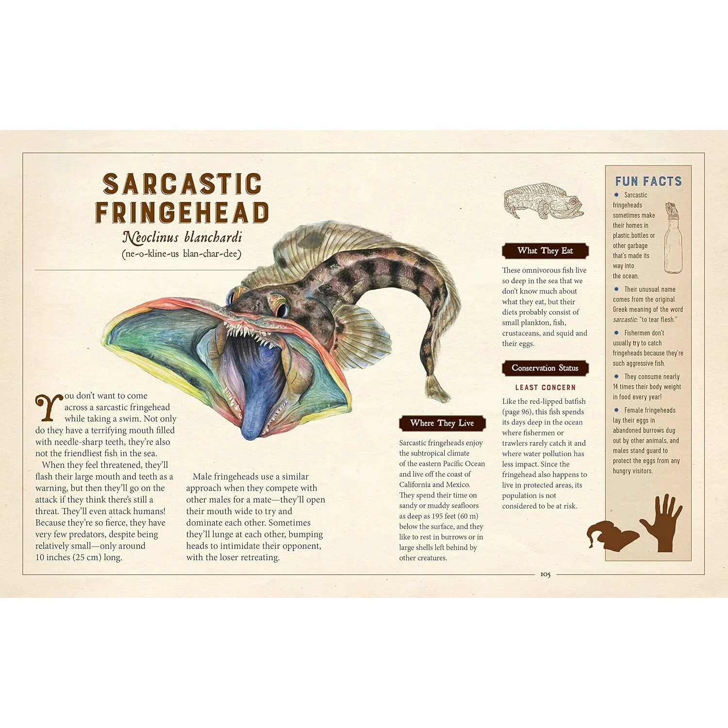 A CURIOUS COLLECTION OF PECULIAR CREATURES: AN ILLUSTRATED ENCYCLOPEDIA BY SAMI BAYLY - Image 5