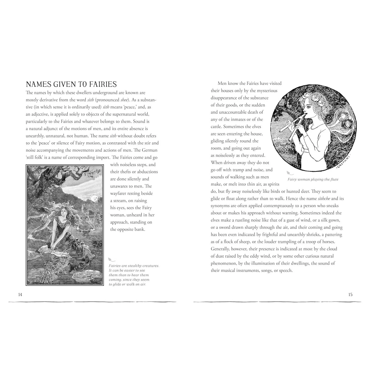 A FIELD GUIDE TO FAIRIES AND MAGICAL BEINGSBY KAYLEIGH EFIRD - Image 3