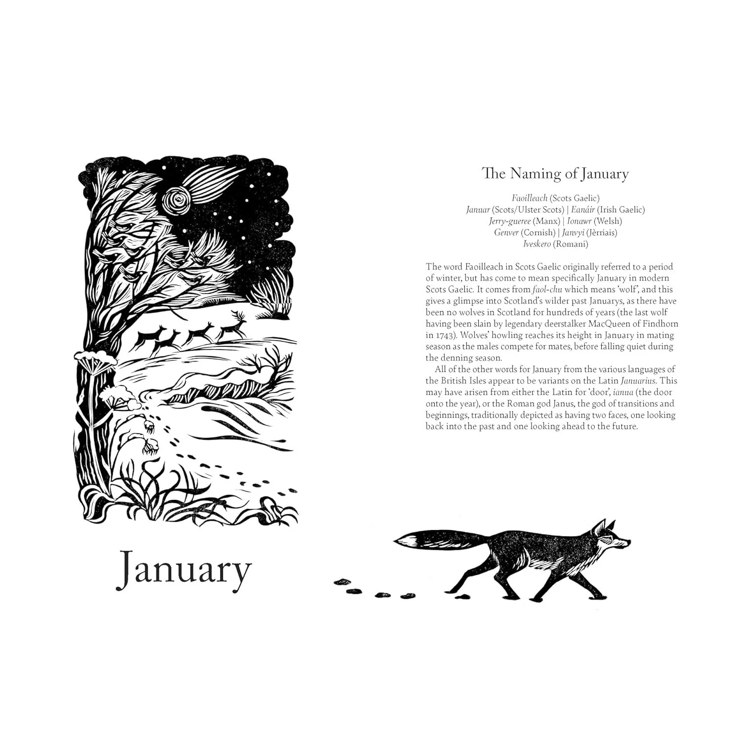 A YEAR IN STORY AND SONG BY LIA LEENDERTZ - Image 2