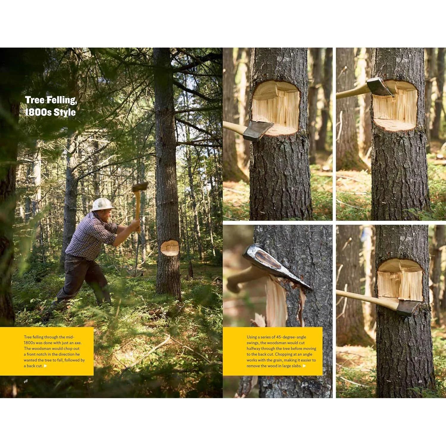AMERICAN AXE: THE TOOL THAT SHAPED A CONTINENT BY BRETT MCLEOD - Image 5