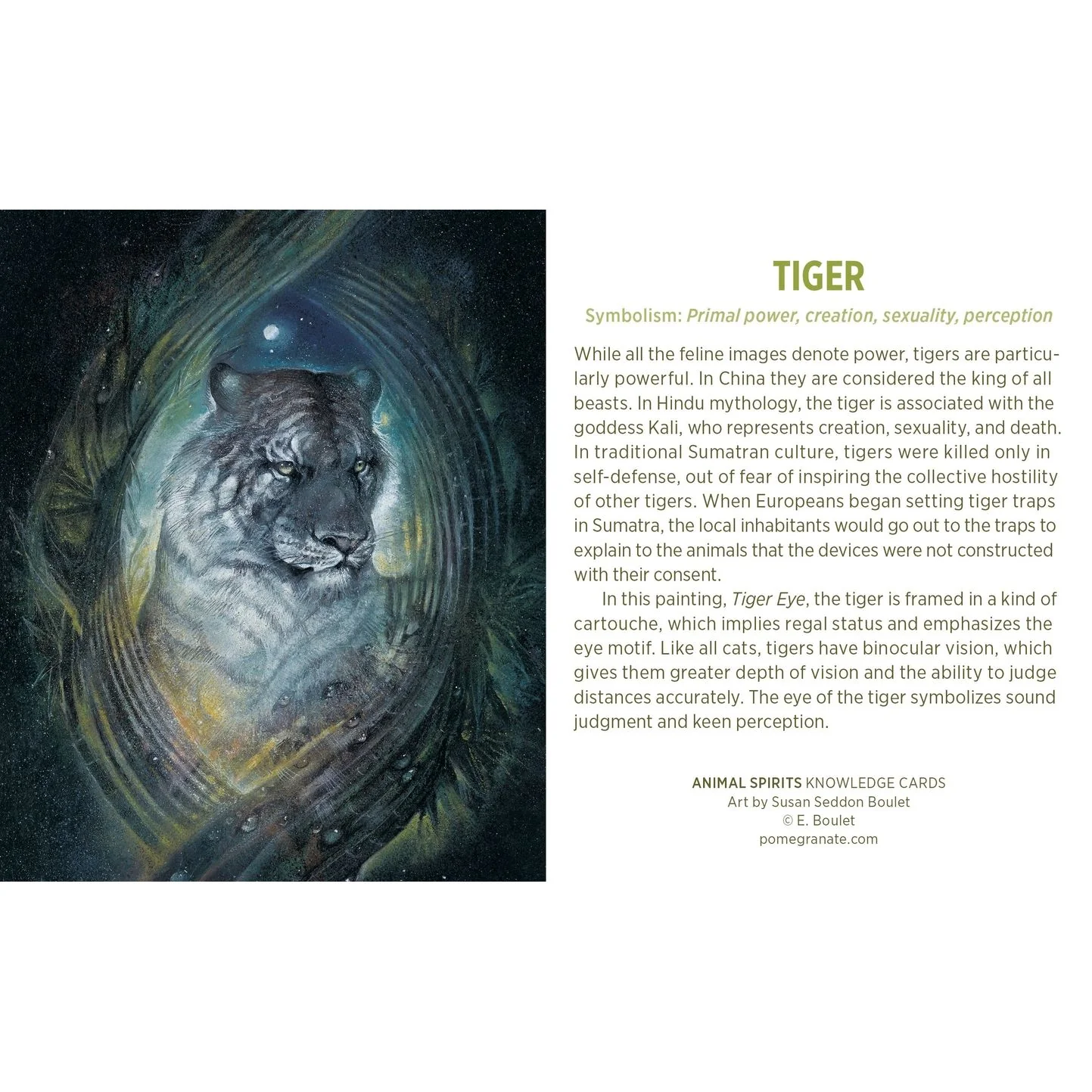 ANIMAL SPIRITS KNOWLEDGE CARDS FEATURING ART BY SUSAN SEDDON BOULET - Image 2
