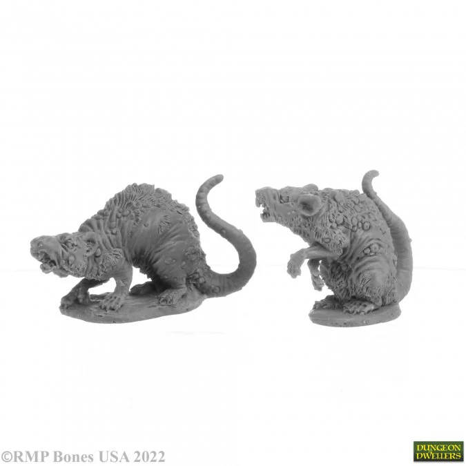 BARROW RATS