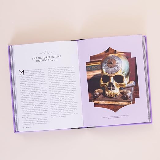 BEYOND THE VEIL: THE VICTORIAN OBSESSION WITH DEATH AND MOURNING BY PAUL GAMBINO - Image 2