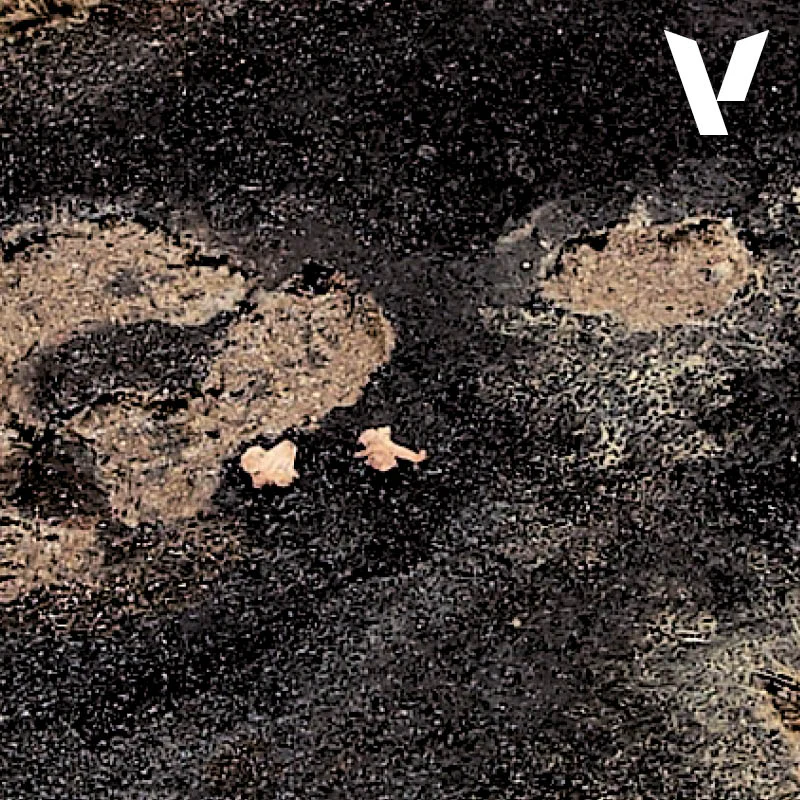 BLACK LAVA - Image 2