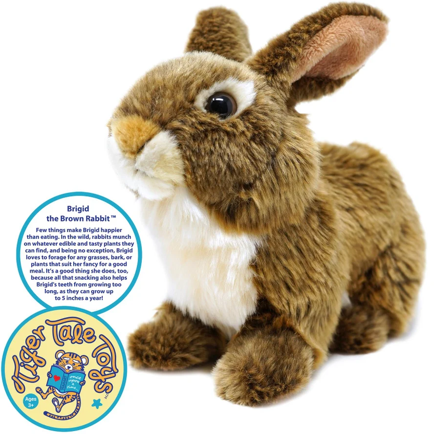 BUNNY RABBIT PLUSH - Image 3