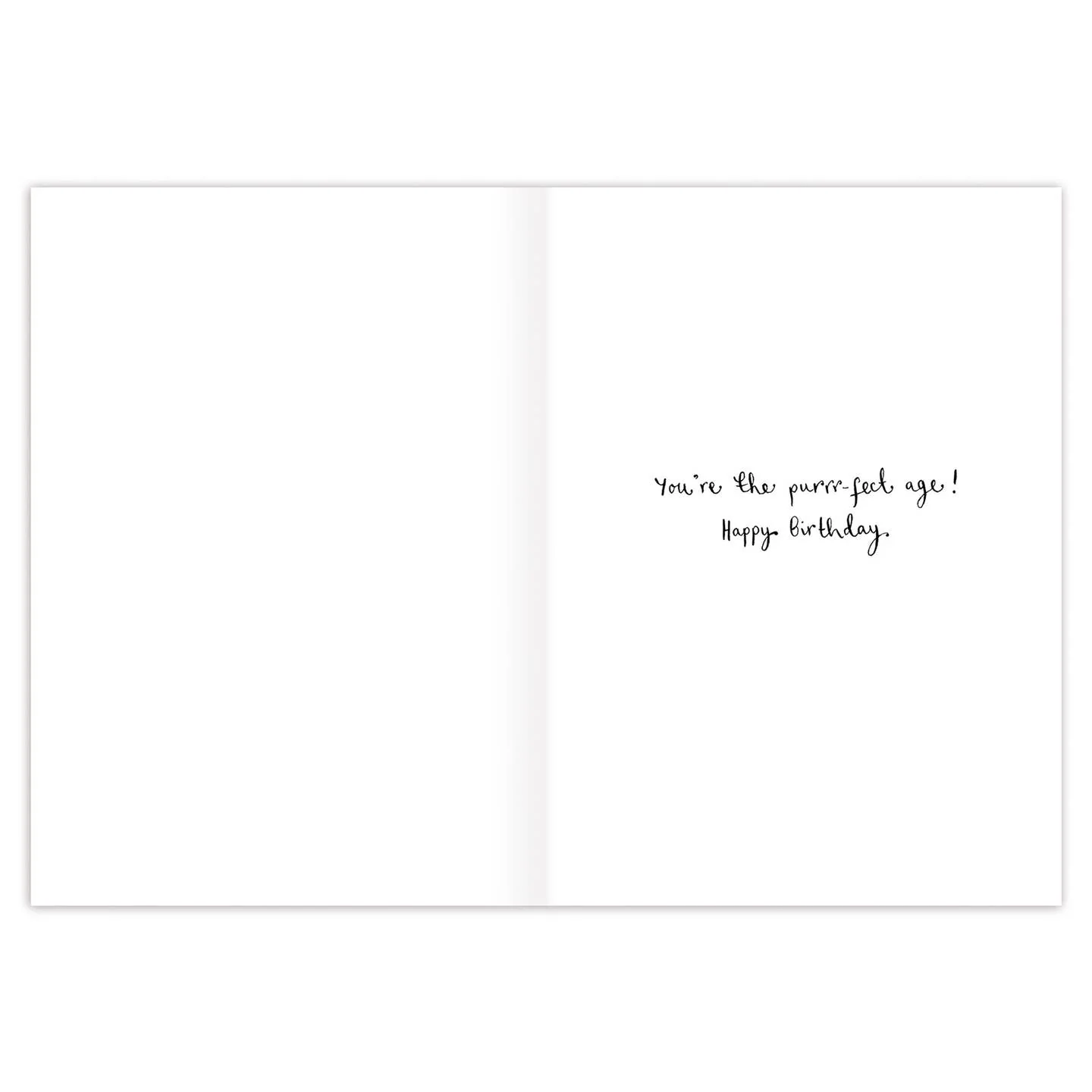 CATS YOU'RE HOW OLD? BIRTHDAY CARD - Image 2