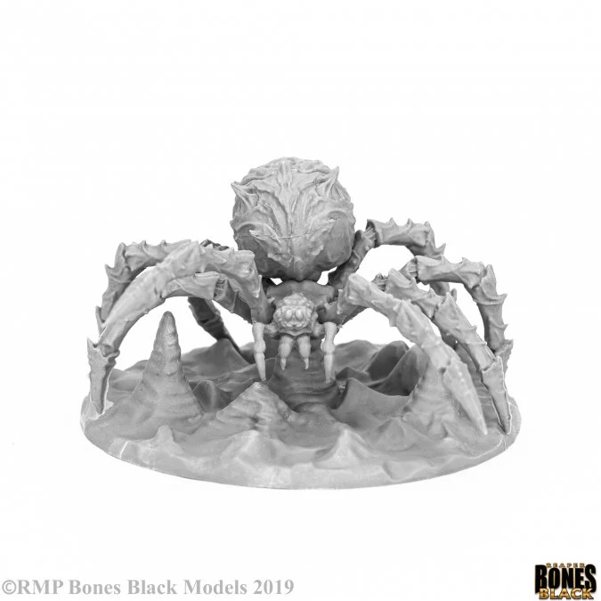 CAVE SPIDER