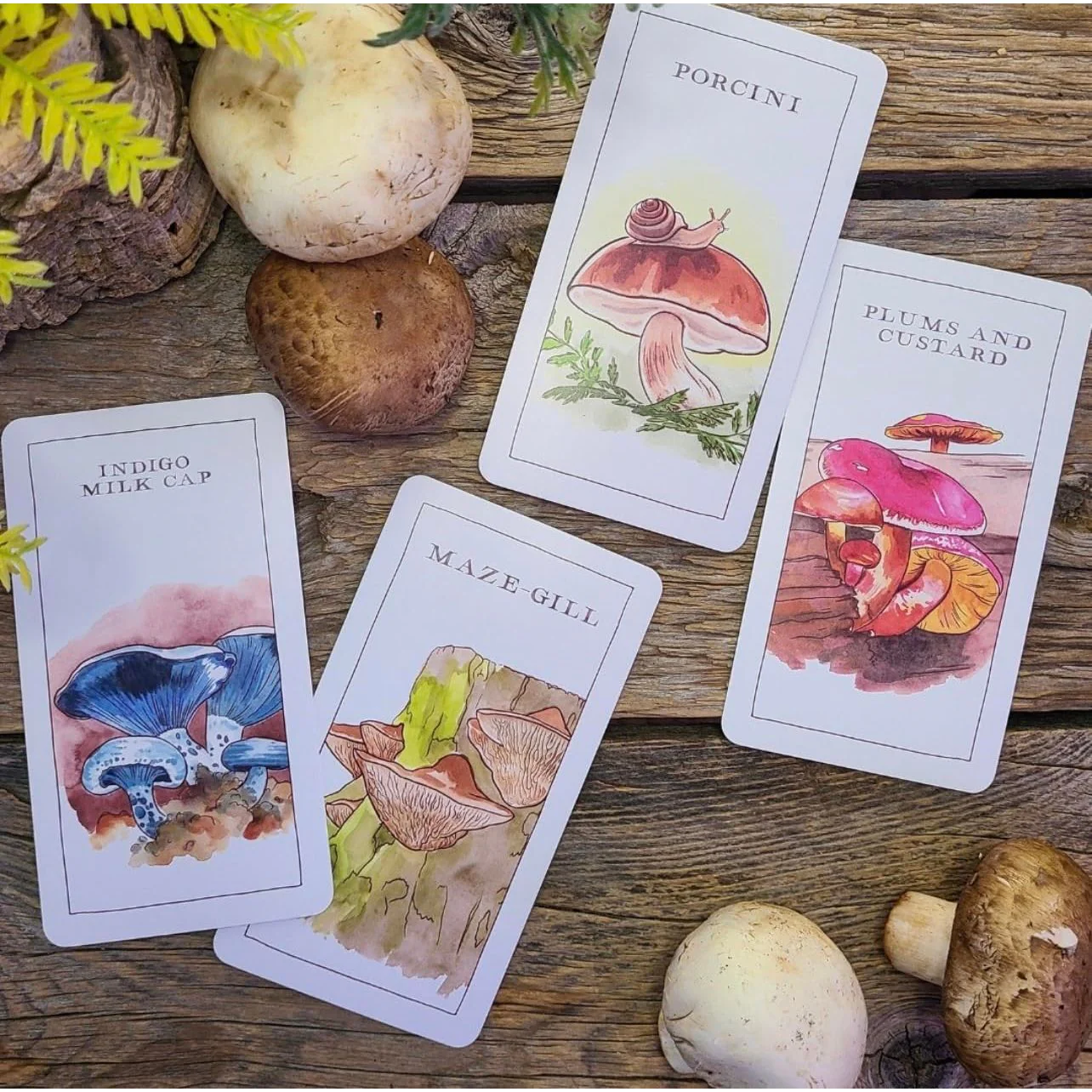 MUSHROM SPOTTER'S DECK; A FIELD GUIDE TO FUNGI AND THEIR AGE OLD WISDOM BY MEGAN LYNN SCOTT - Image 2