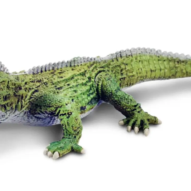 TUATARA - Image 2