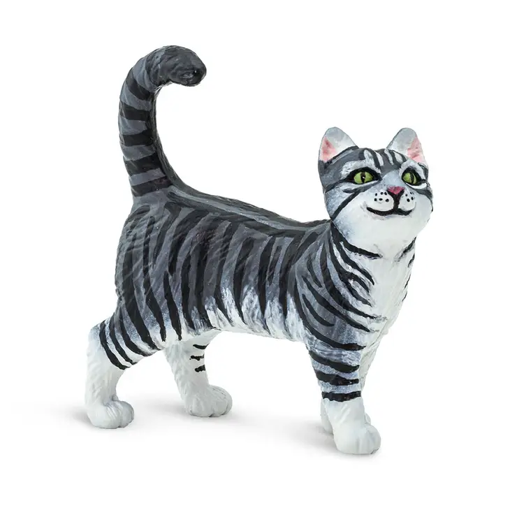GRAY TABBY CAT