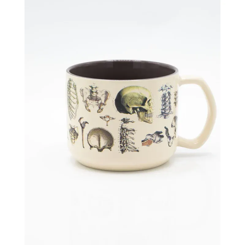 SKELETON ANATOMY MUG