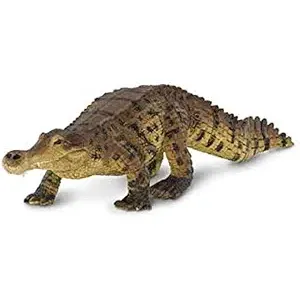 SARCOSUCHUS