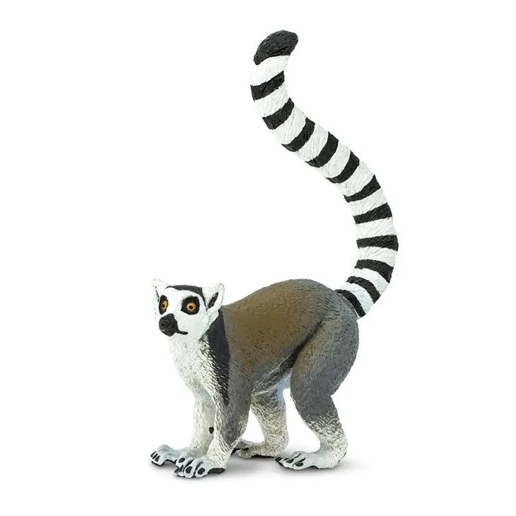 RING TAILED LEMUR - Image 2