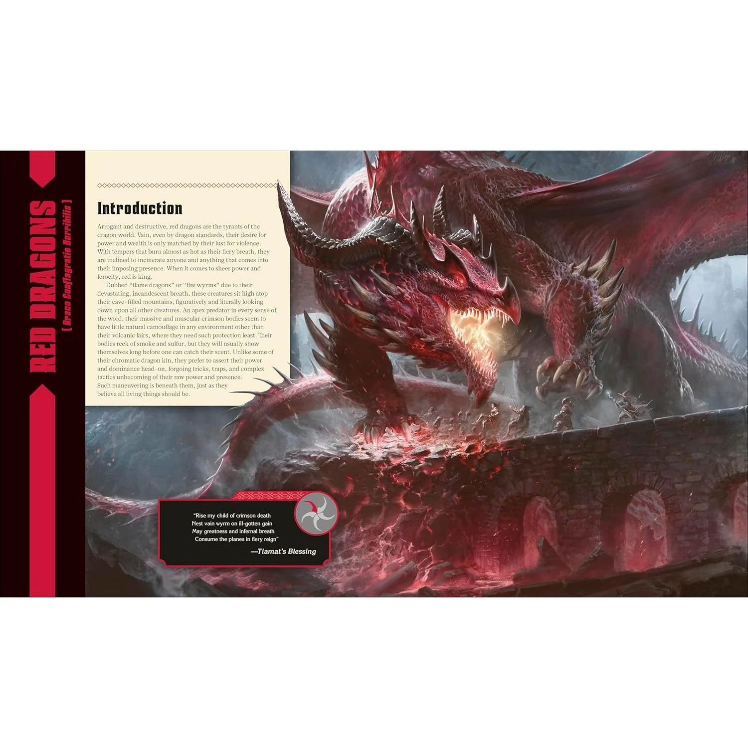 D&D: THE BOOK OF DRAGONS (A DK BOOK) - Image 3