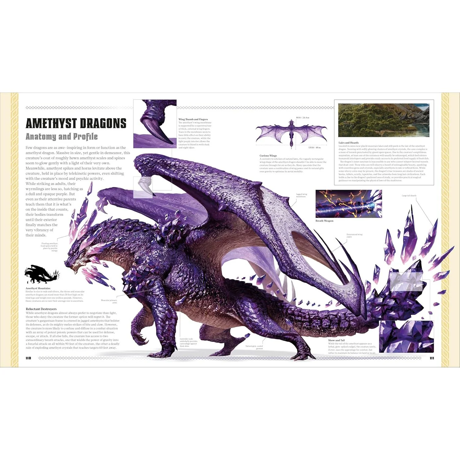 D&D: THE BOOK OF DRAGONS (A DK BOOK) - Image 5