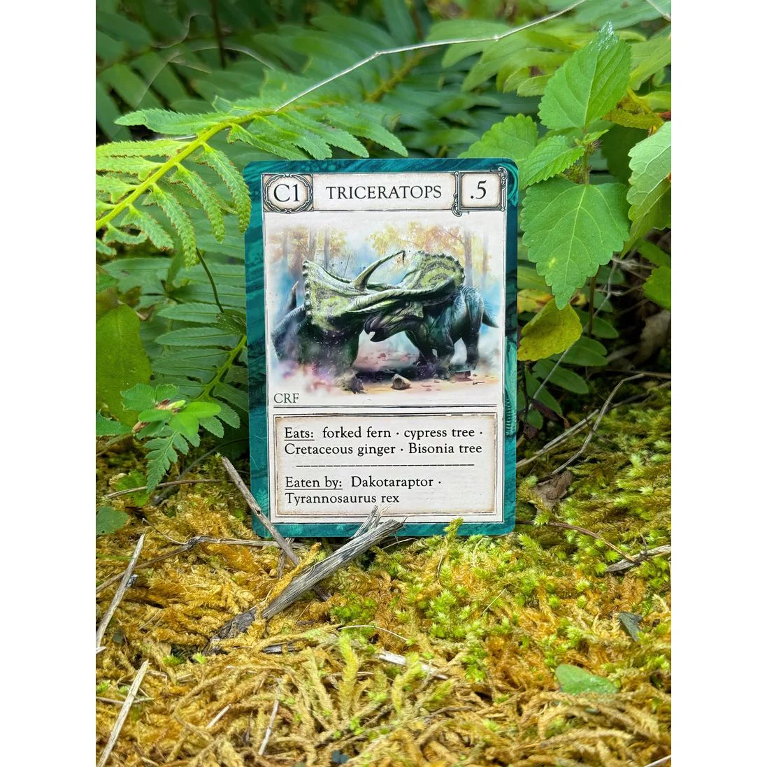 ECOLOGIES CARD GAME ANCIENT AREAS EXPANSION - Image 3