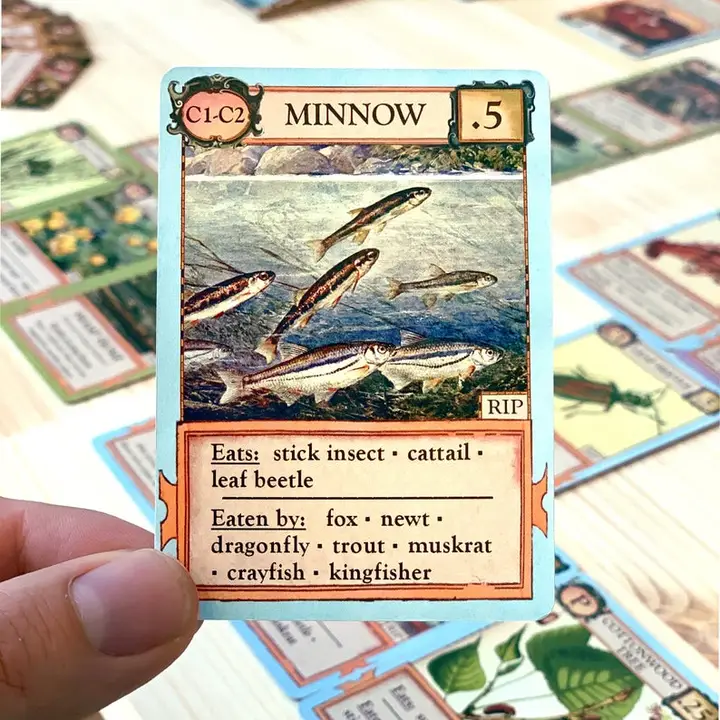 ECOLOGIES CARD GAME BIZARRE BIOMES EXPANSION - Image 5
