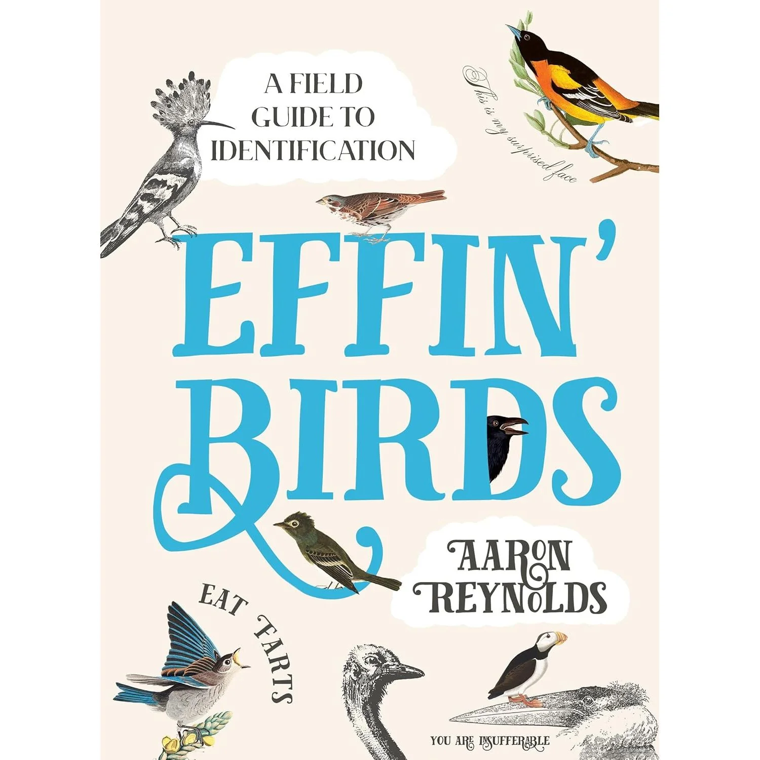 EFFIN' BIRDS BY AARON REYNOLDS