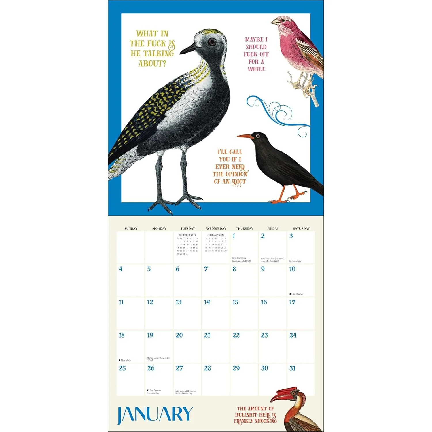 EFFIN' BIRDS WALL CALENDAR 2026 - Image 3