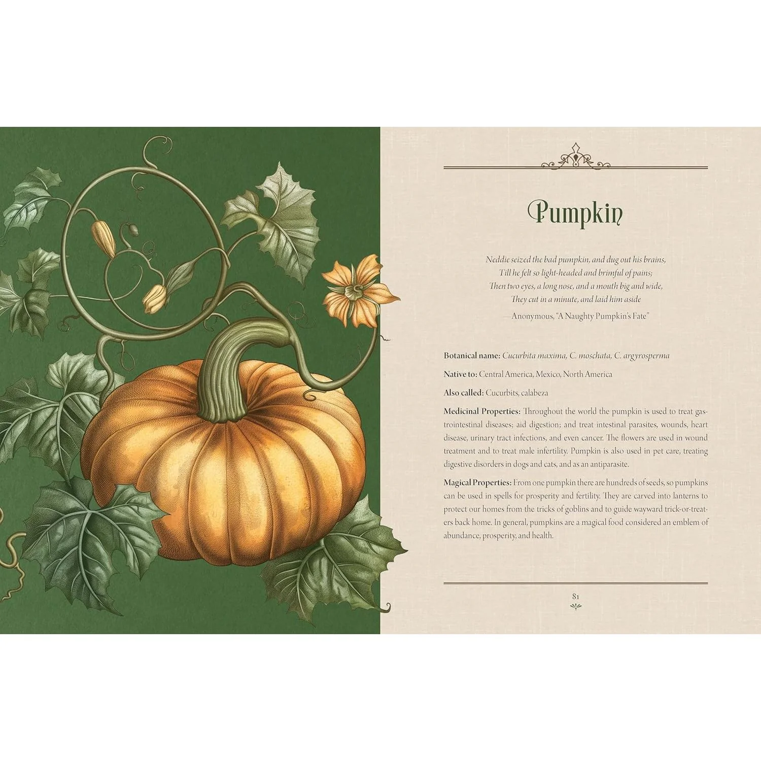 ENCHANTED PLANTS: A TREASURY OF BOTANICAL FOLKLORE & MAGIC BY VARLA VENTURA - Image 4