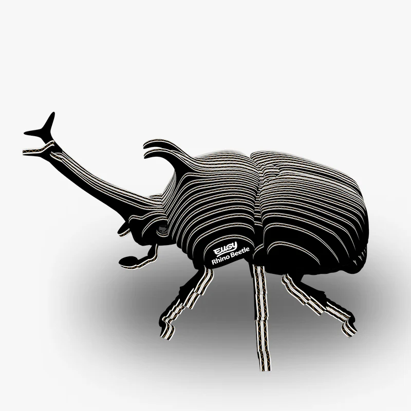 EUGY RHINO BEETLE