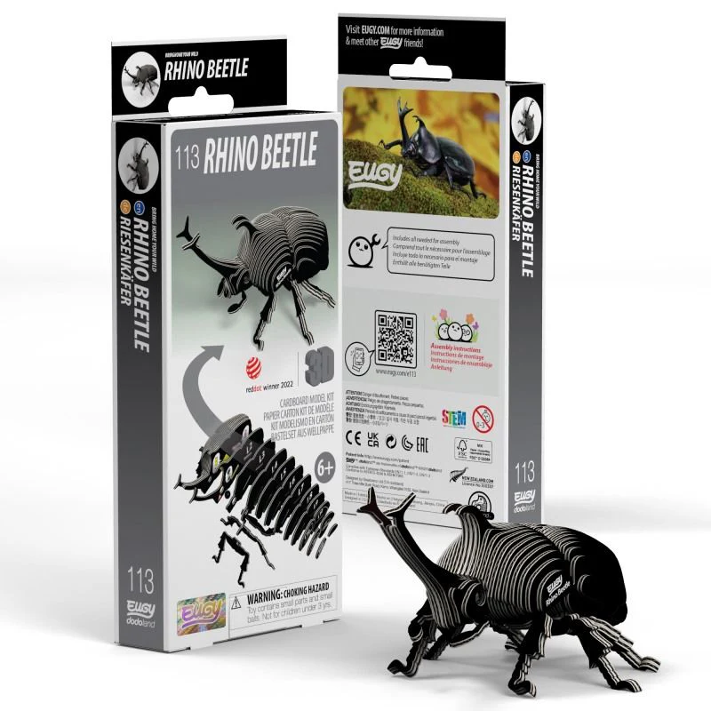 EUGY RHINO BEETLE - Image 2
