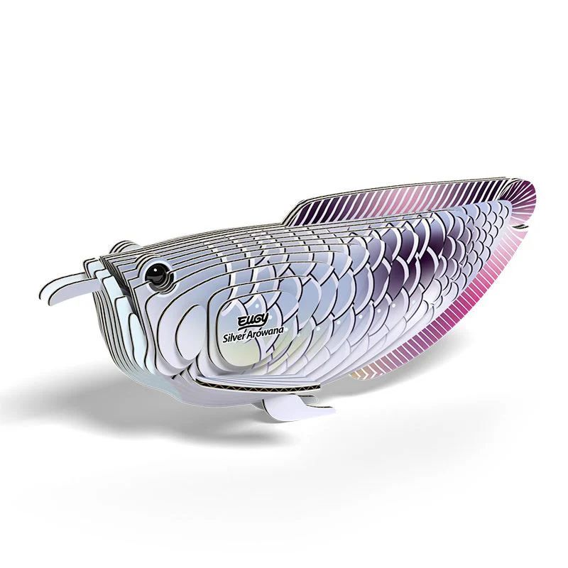 EUGY SILVER AROWANA