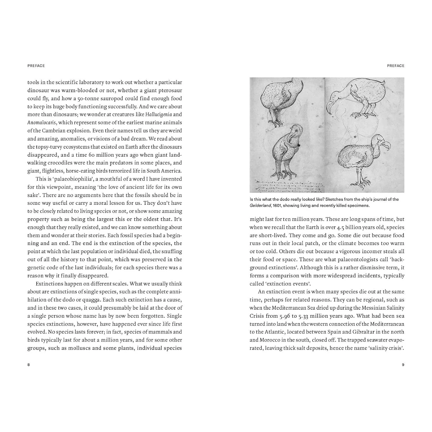 EXTINCTIONS: HOW LIFE SURVIVES, ADAPTS, AND EVOLVES BY MICHAEL J. BENTON - Image 4