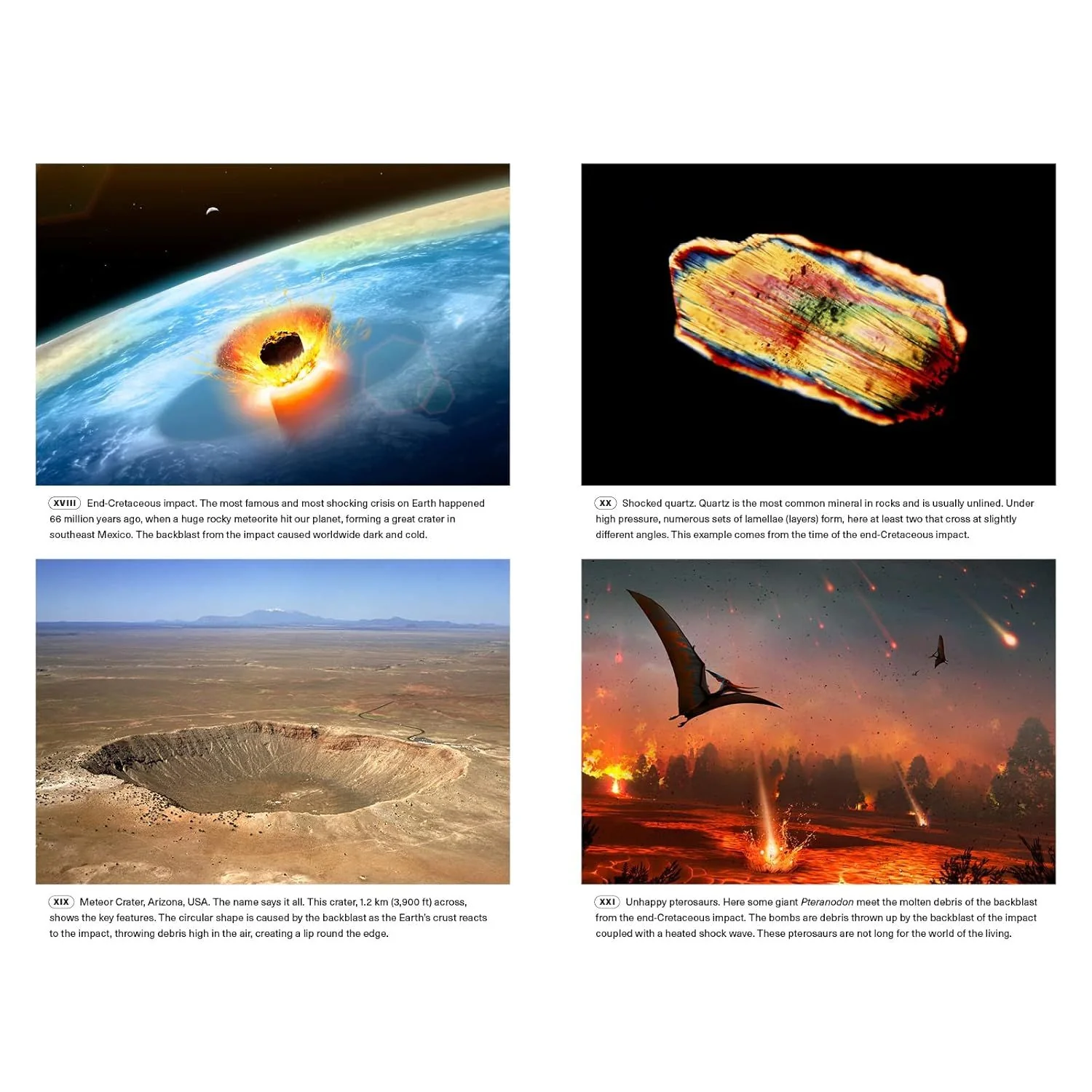 EXTINCTIONS: HOW LIFE SURVIVES, ADAPTS, AND EVOLVES BY MICHAEL J. BENTON - Image 6