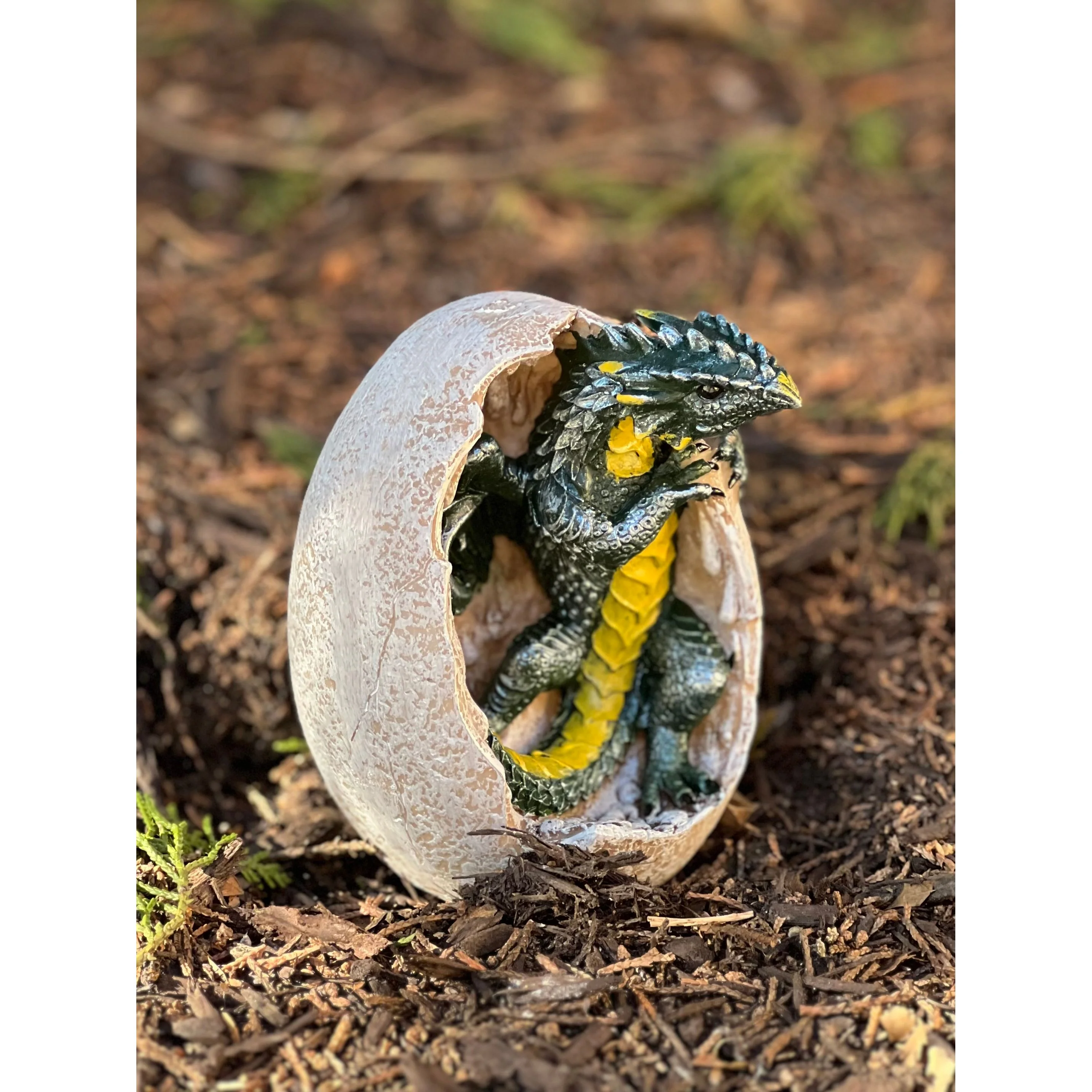 GREEN DRAGON HATCHLING - Image 2