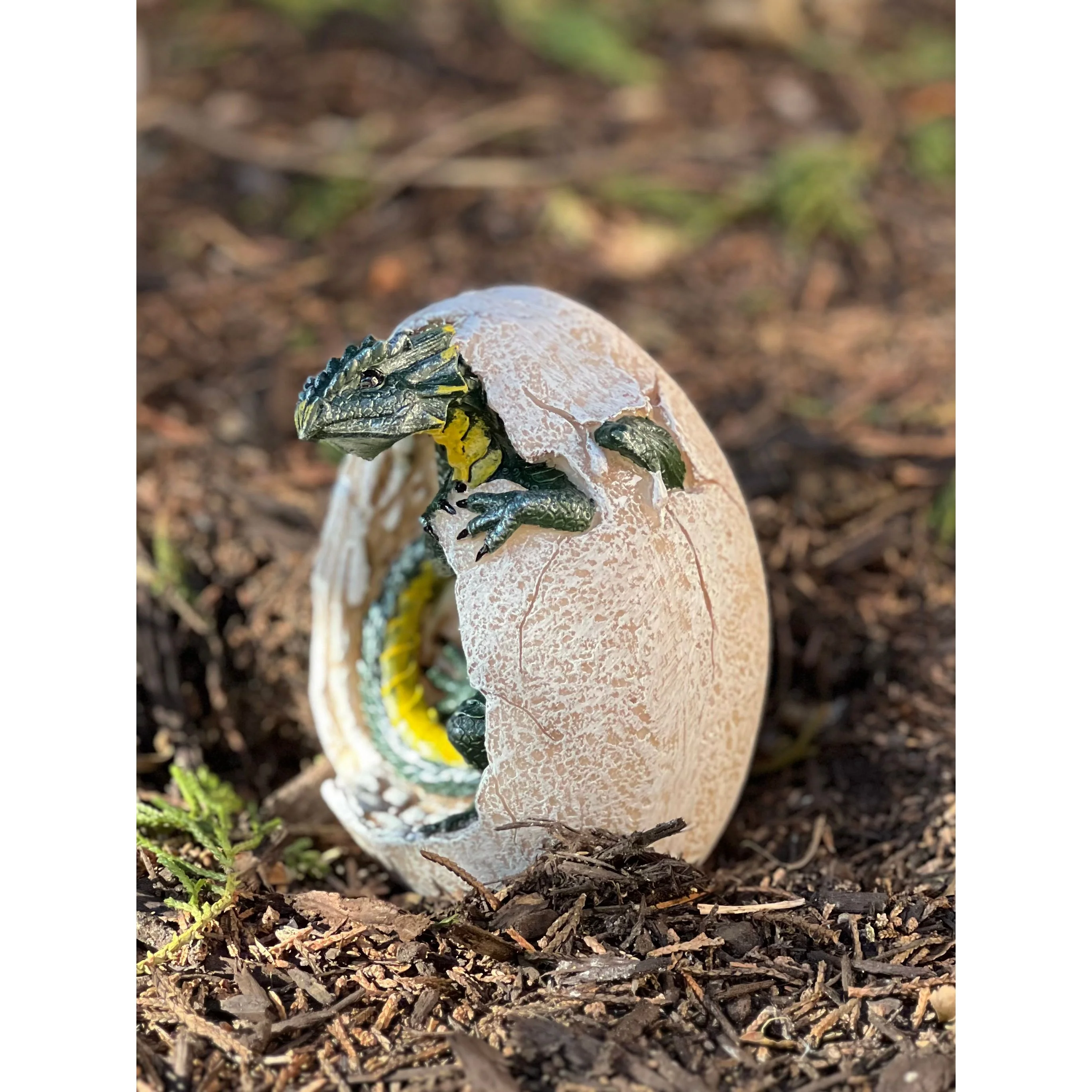 GREEN DRAGON HATCHLING - Image 3