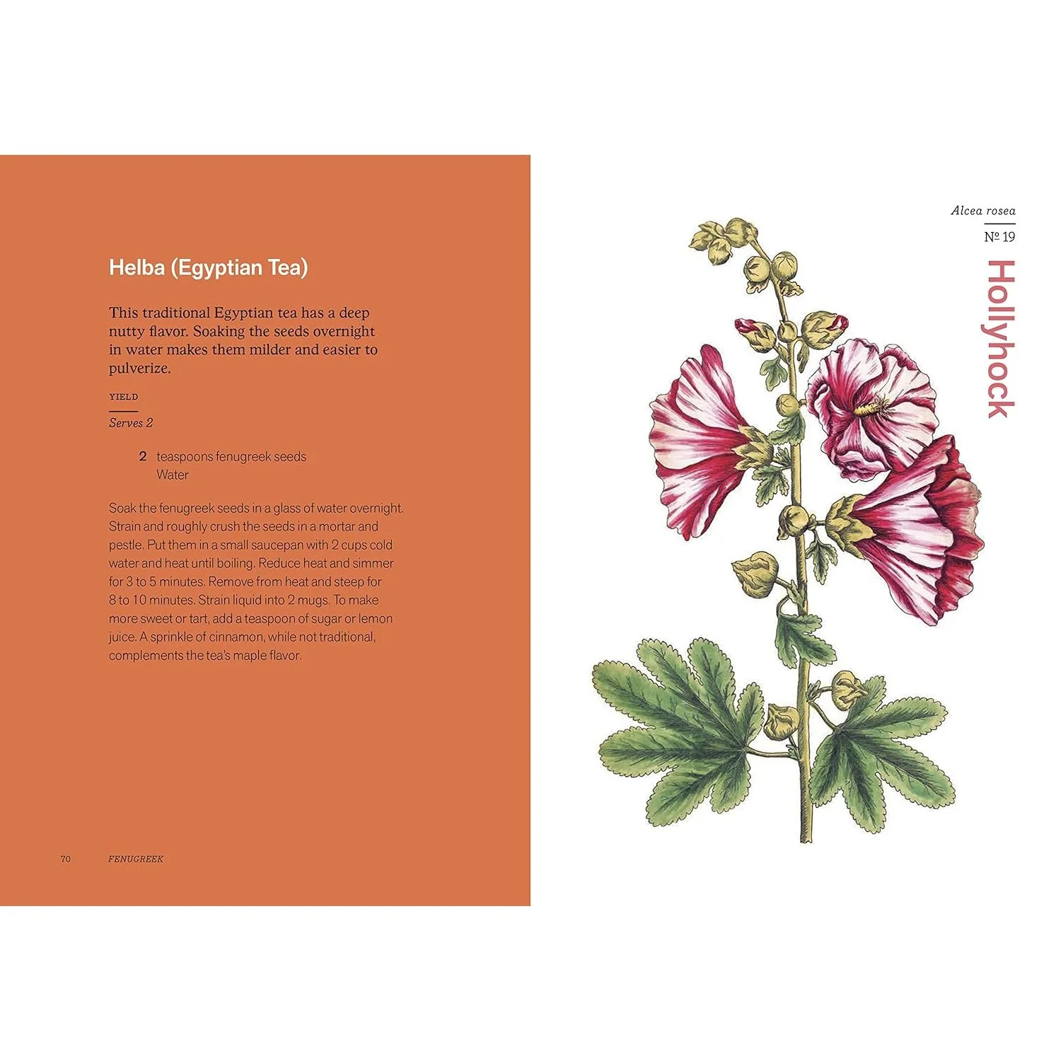 HERBAL HANDBOOK BY THE NEW YORK BOTANICAL GARDEN - Image 2