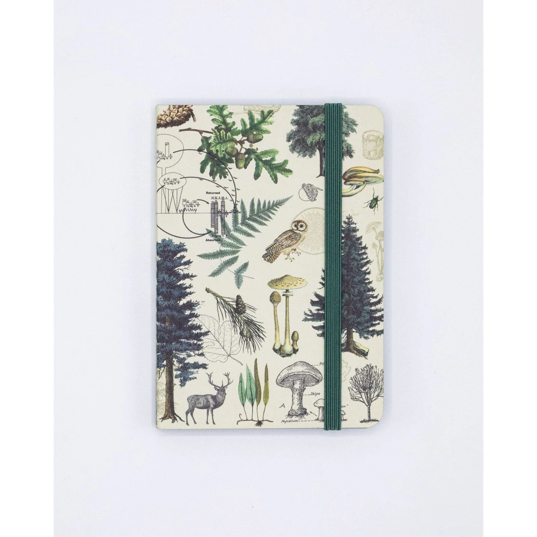INTO THE FOREST JOURNAL