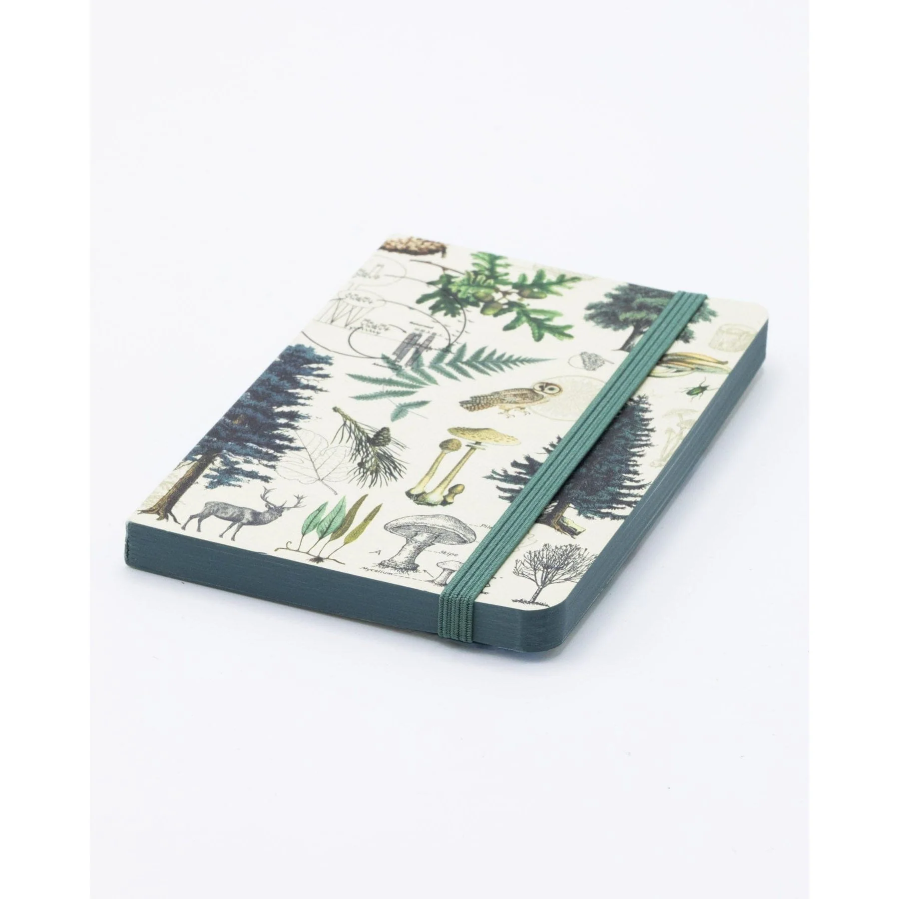INTO THE FOREST JOURNAL - Image 2
