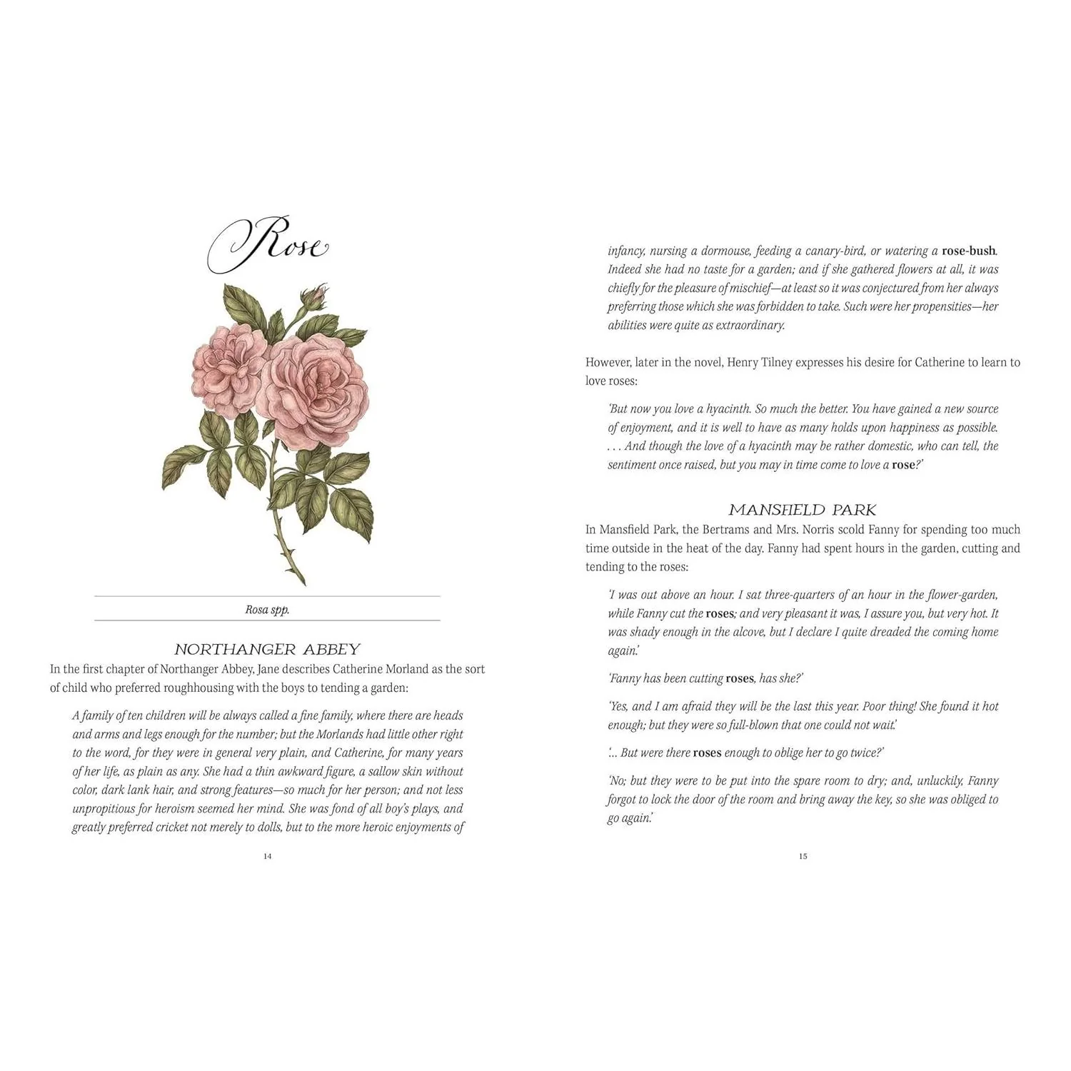 JANE AUSTEN'S GARDEN: A BOTANICAL TOUR OF THE CLASSIC GRAPHIC NOVELS BY MOLLY WILLIAMS AND ILLUSTRATED BY JESSICA ROUX - Image 5