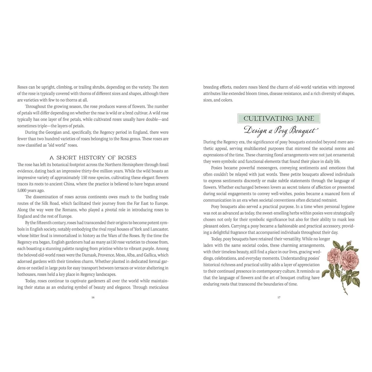 JANE AUSTEN'S GARDEN: A BOTANICAL TOUR OF THE CLASSIC GRAPHIC NOVELS BY MOLLY WILLIAMS AND ILLUSTRATED BY JESSICA ROUX - Image 6