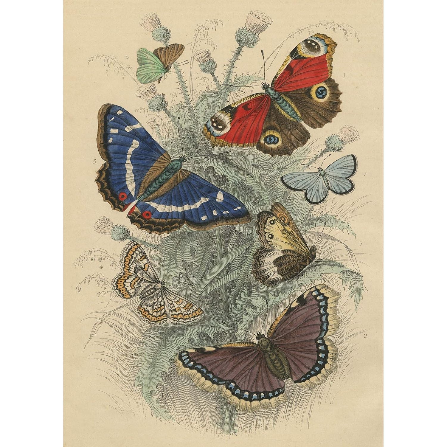 JOHN DERIAN 750PC DANCING BUTTERFLIES JIGSAW PUZZLE - Image 2