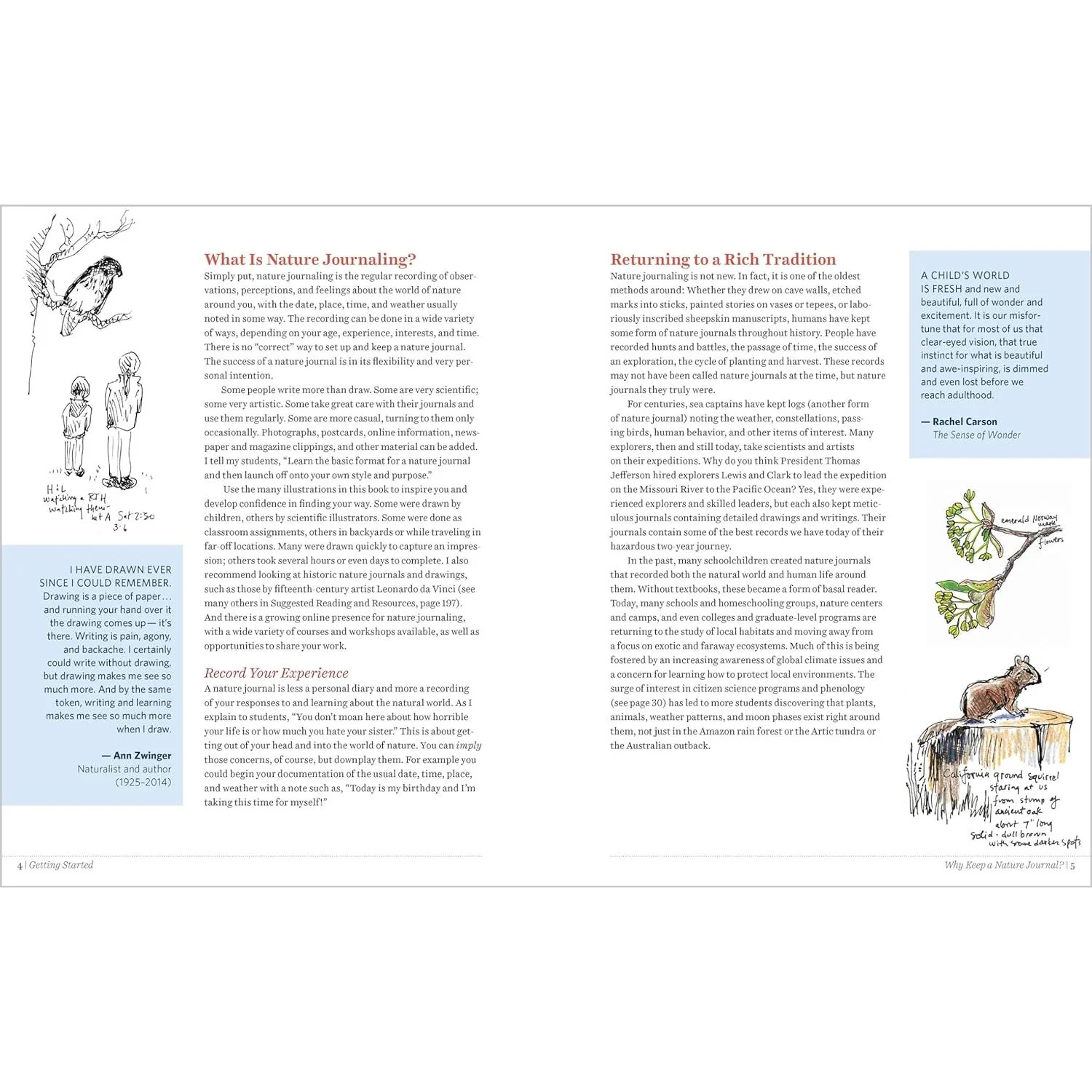 KEEPING A NATURE JOURNAL BY CLARE WALKER LESLIE - Image 2