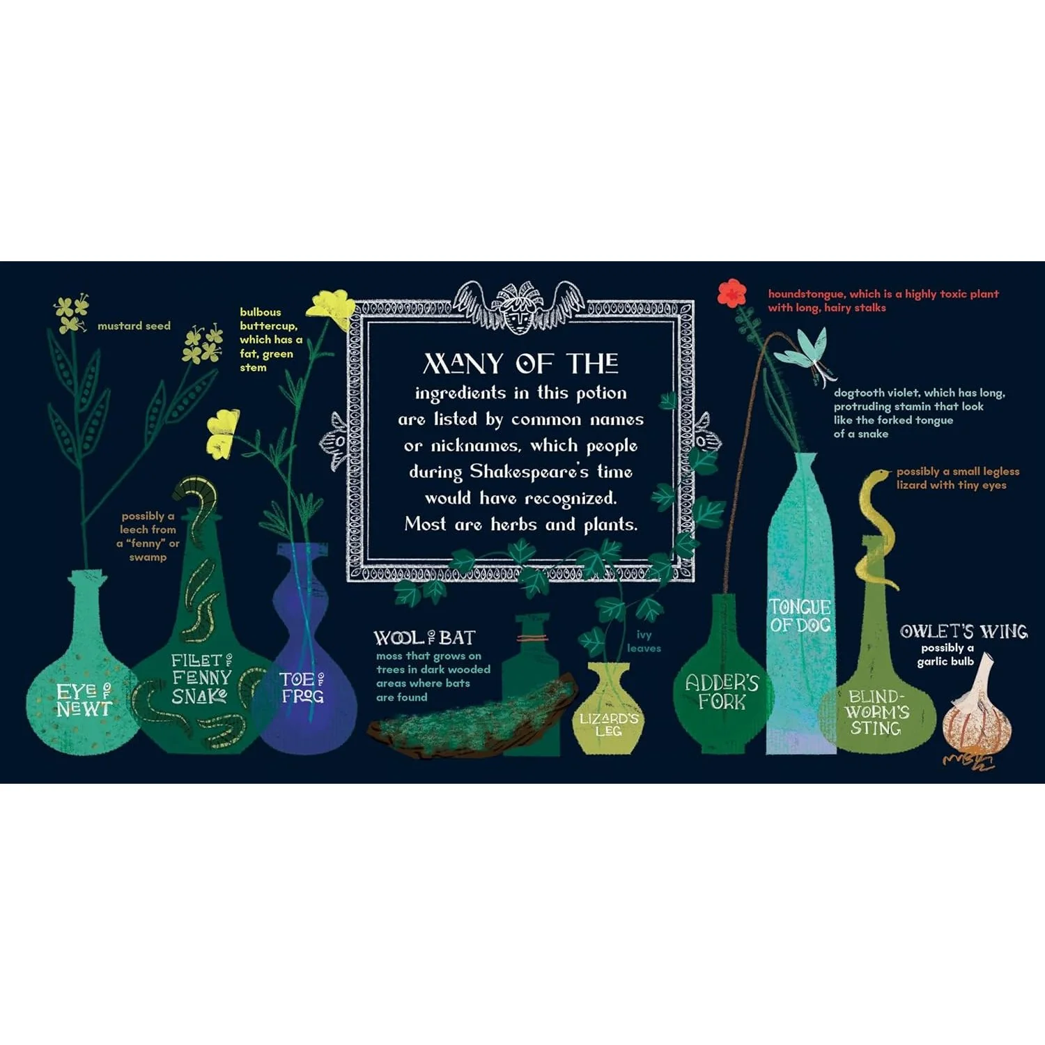 MACBETH: A POTION PRIMER BY JENNIFER ADAMS & ART BY ALISON OLIVER BOARD BOOK - Image 5