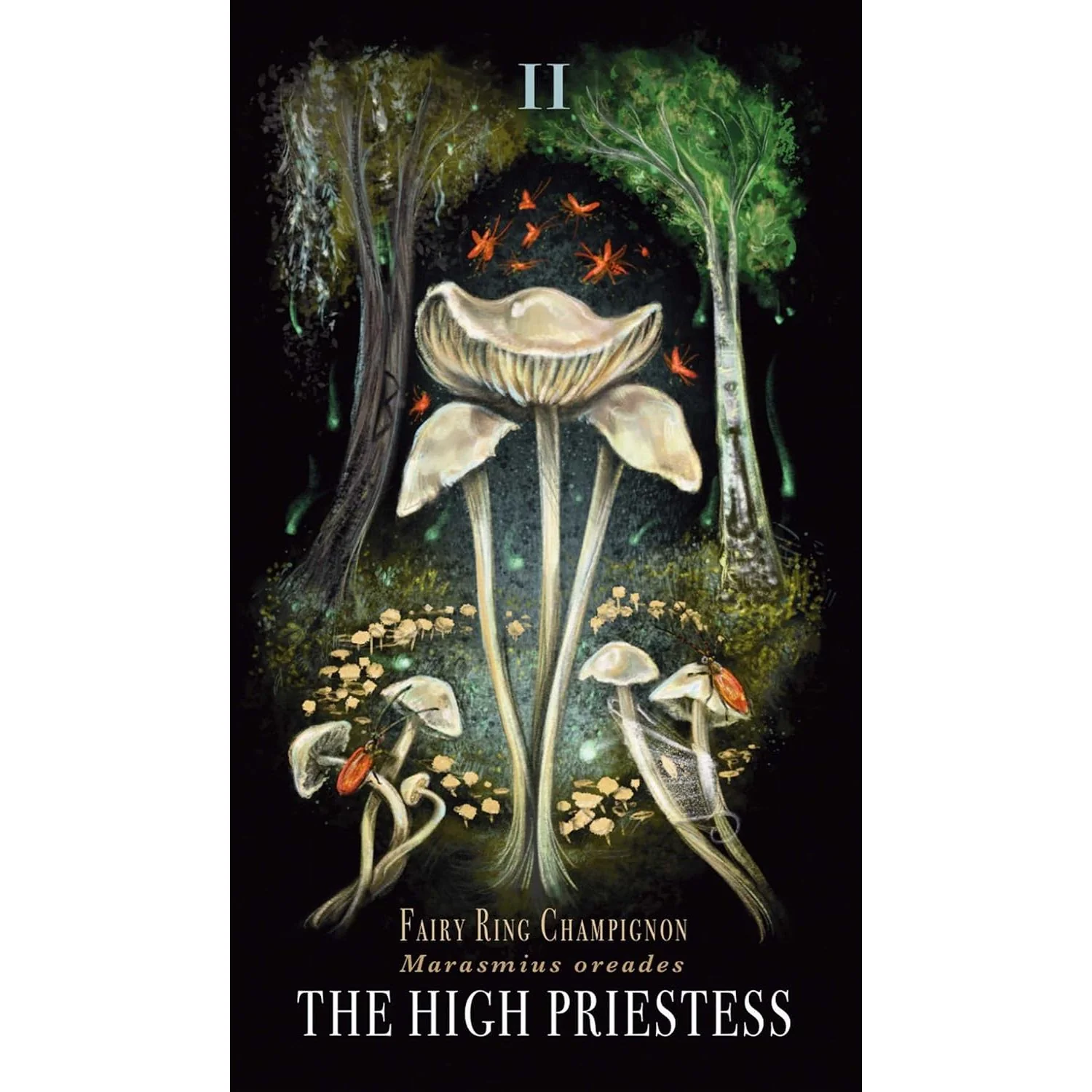 MIDNIGHT MAGIC THE TAROT OF MUSHROOMS - Image 4