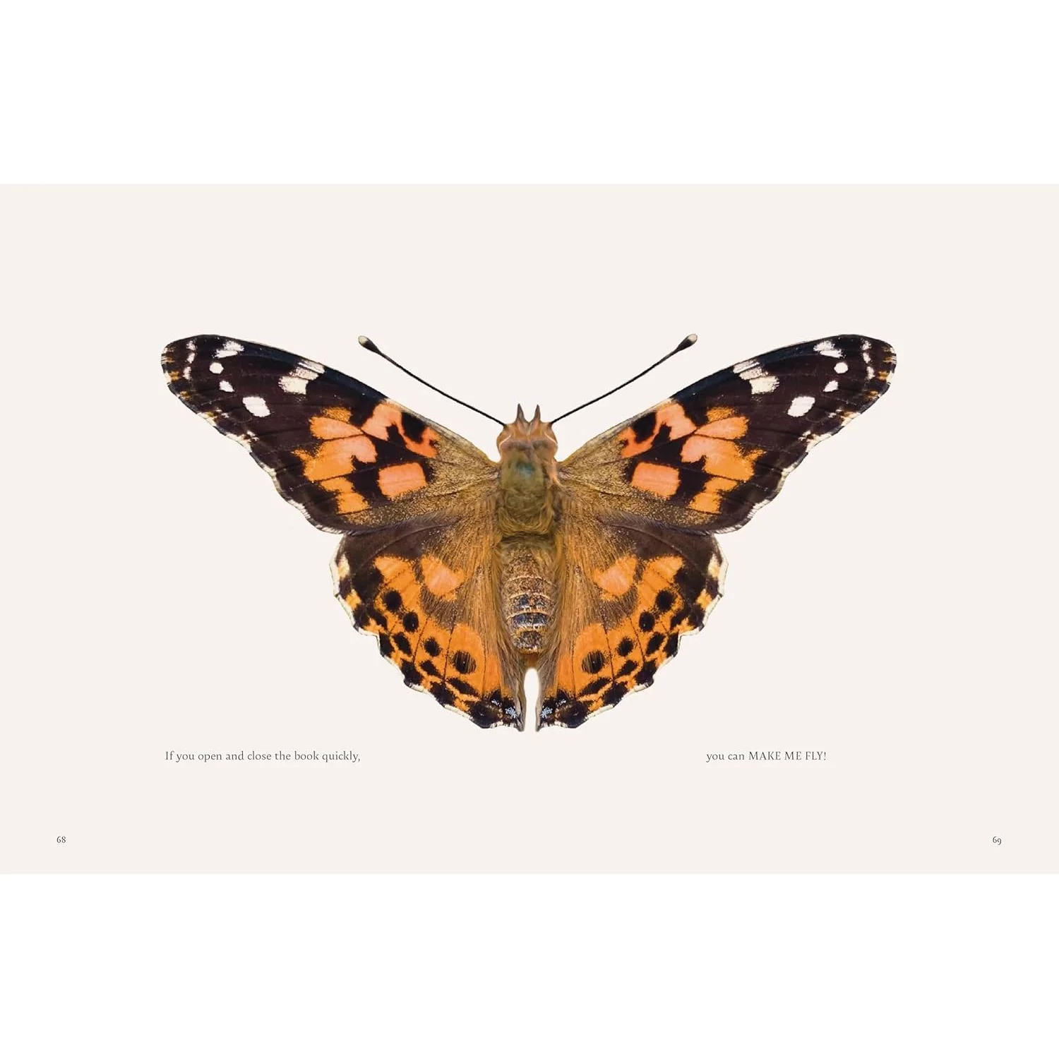 ON A BUTTERFLY'S WING: LESSONS FROM NATURE ON EMBRACING CHANGE BY ASTRID VARGAS - Image 3
