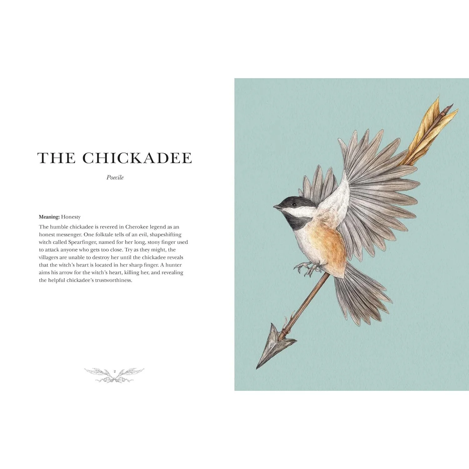 ORNITHOGRAPHY: AN ILLUSTRATED GUIDE TO BIRD LORE AND SYMBOLISM BY JESSICA ROUX - Image 2