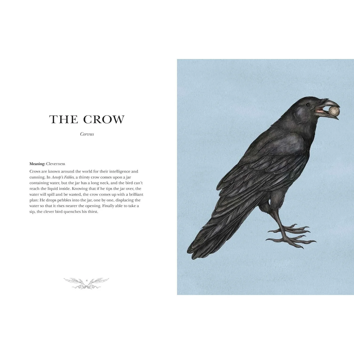 ORNITHOGRAPHY: AN ILLUSTRATED GUIDE TO BIRD LORE AND SYMBOLISM BY JESSICA ROUX - Image 3