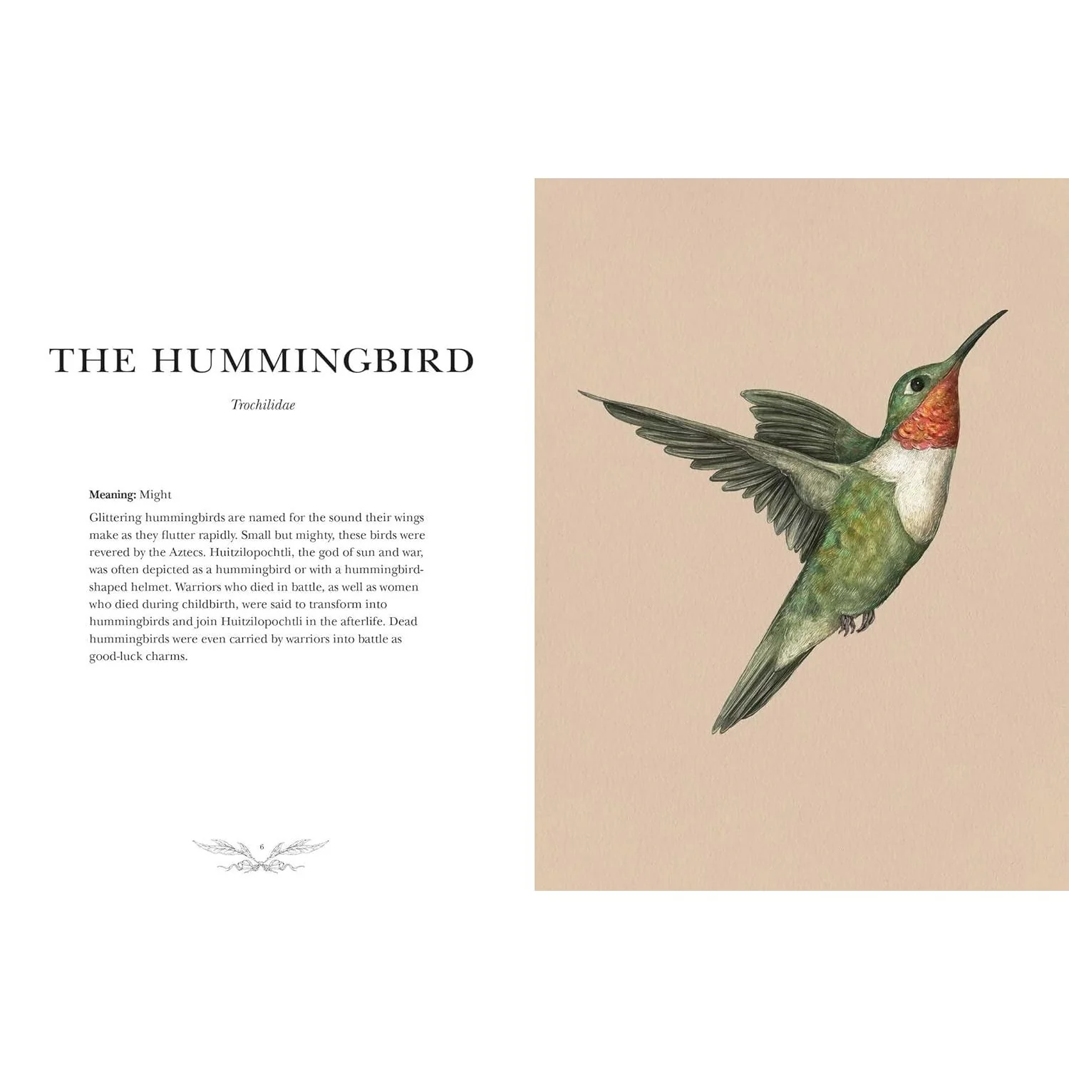 ORNITHOGRAPHY: AN ILLUSTRATED GUIDE TO BIRD LORE AND SYMBOLISM BY JESSICA ROUX - Image 4