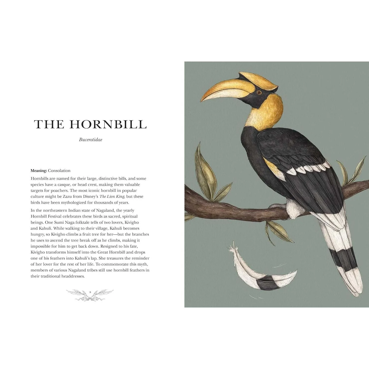 ORNITHOGRAPHY: AN ILLUSTRATED GUIDE TO BIRD LORE AND SYMBOLISM BY JESSICA ROUX - Image 5