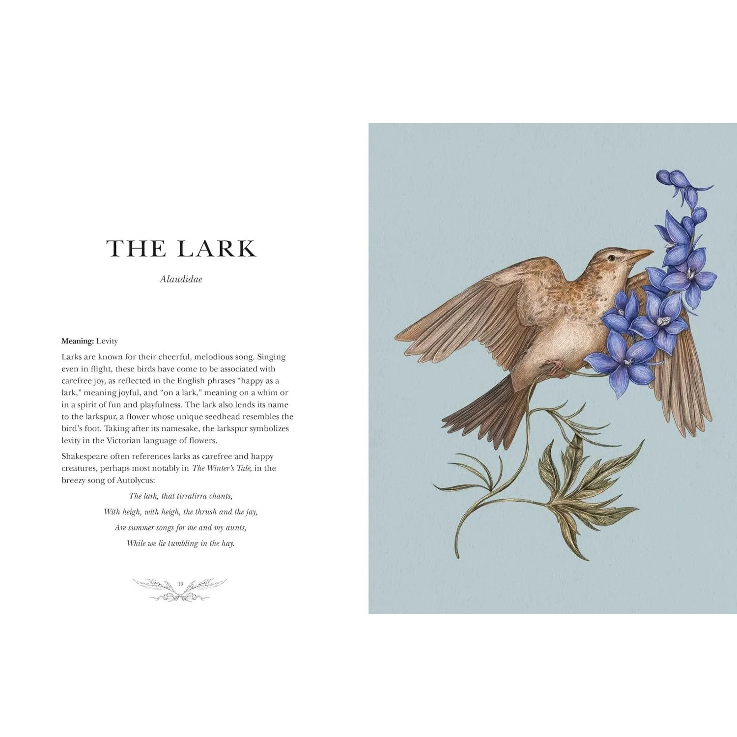 ORNITHOGRAPHY: AN ILLUSTRATED GUIDE TO BIRD LORE AND SYMBOLISM BY JESSICA ROUX - Image 6